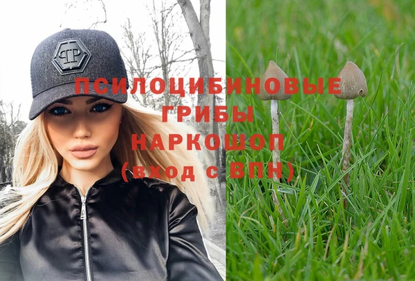 ECSTASY Абинск
