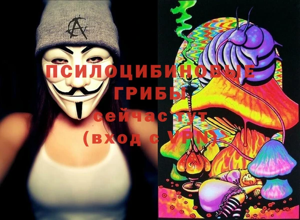 СК Абаза