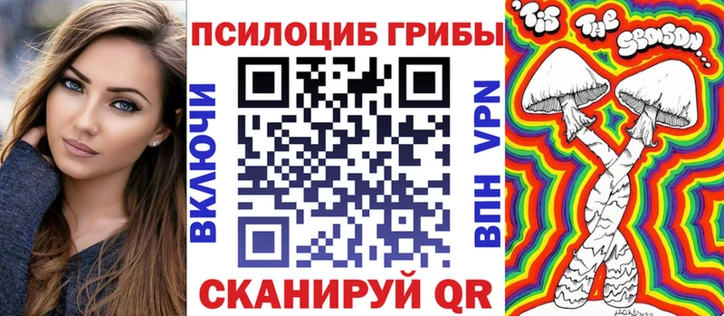 Псилоцибиновые грибы GOLDEN TEACHER  где продают наркотики  Алзамай 